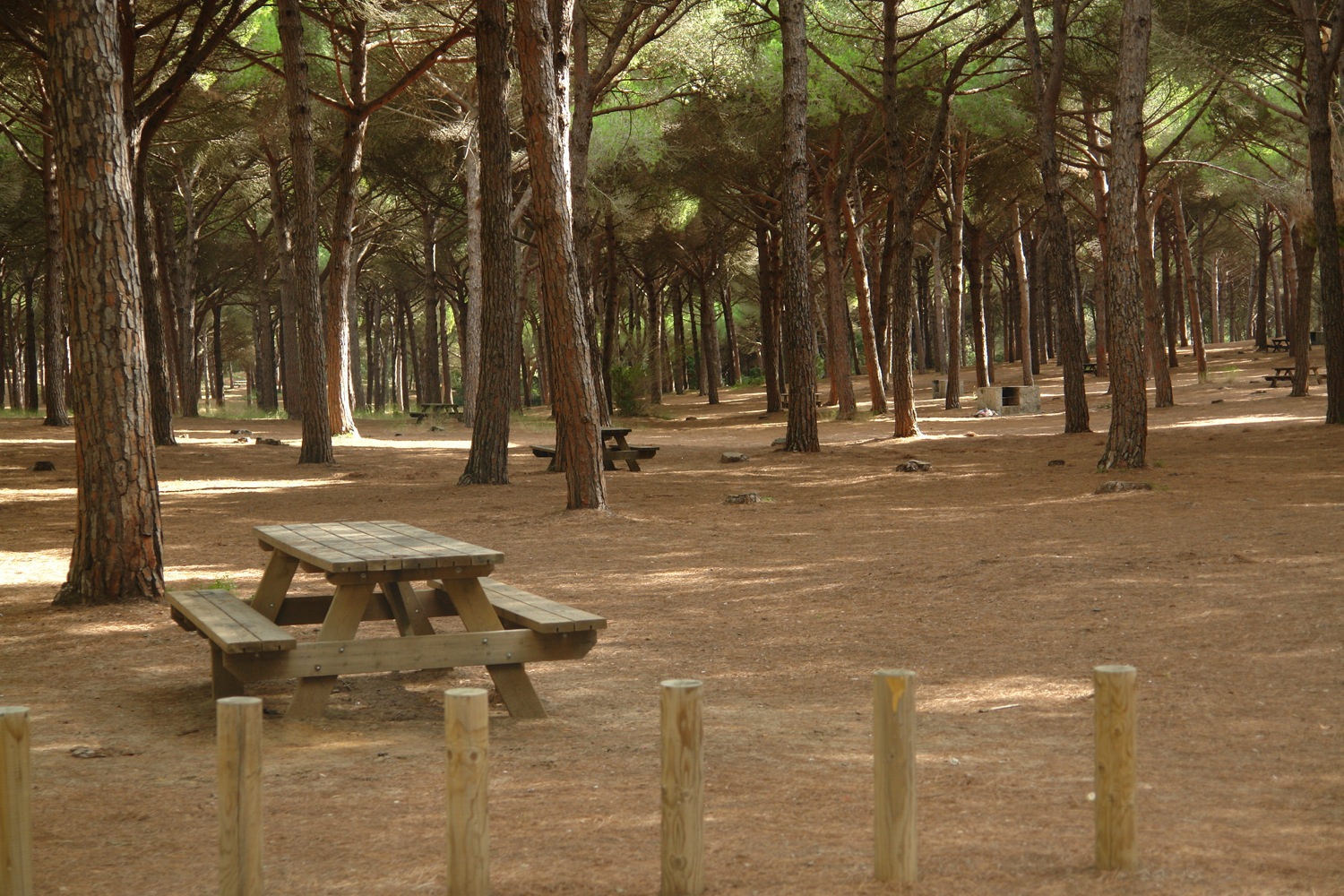 Opiniones de Estación de Pinar del Rey