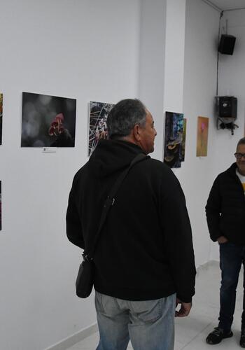 Nell'area Espacio Joven è stata inaugurata una mostra di fotografie della natura di Campo Gibilterra