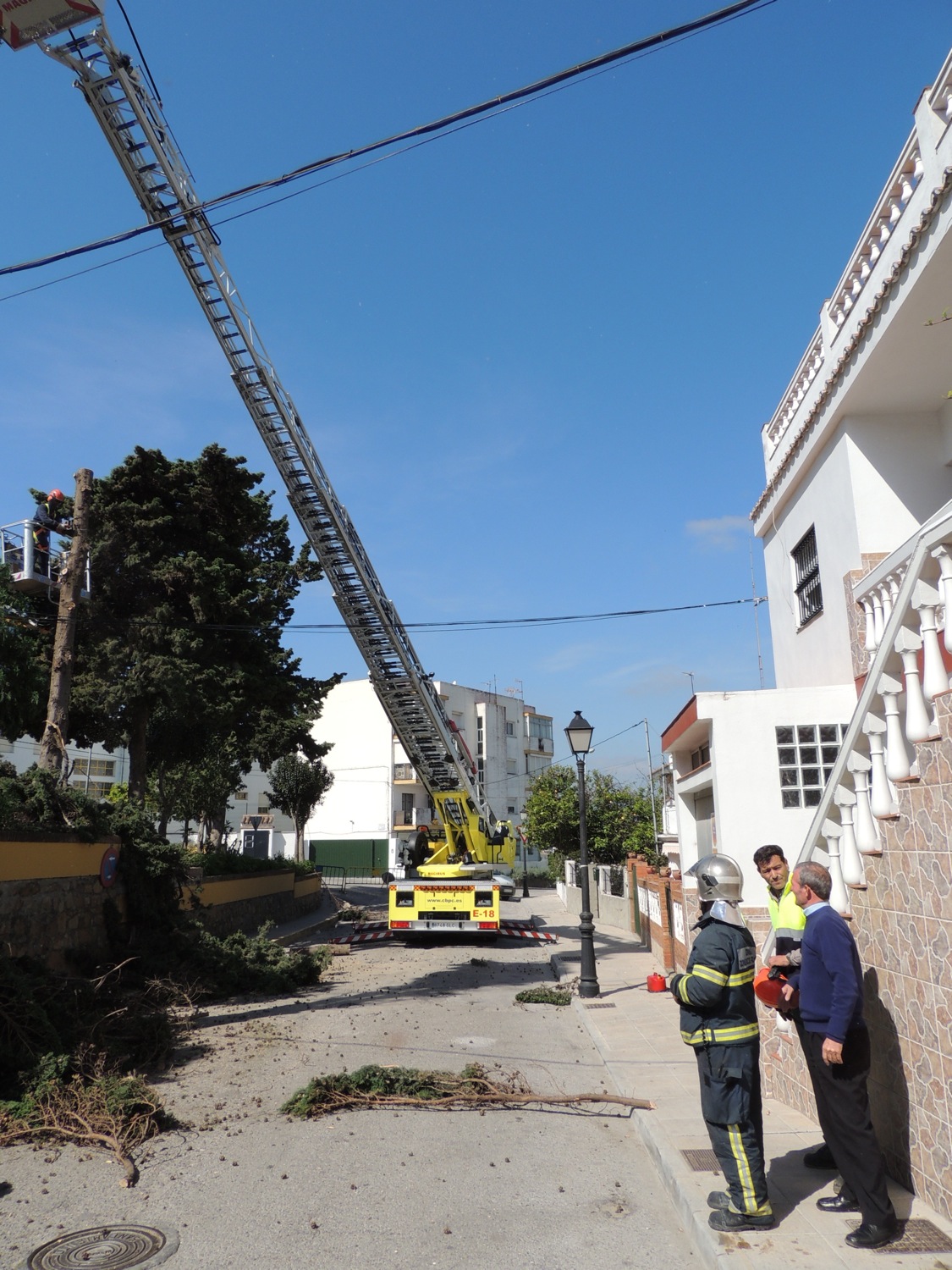 Obras y Servicios y Bomberos talan los cipreses de Simón Susarte, que